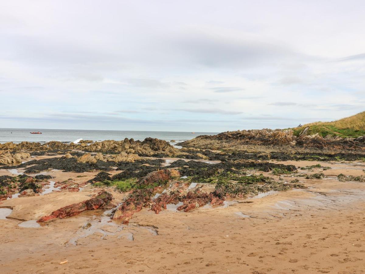 Meadow Lodge Coldingham Экстерьер фото